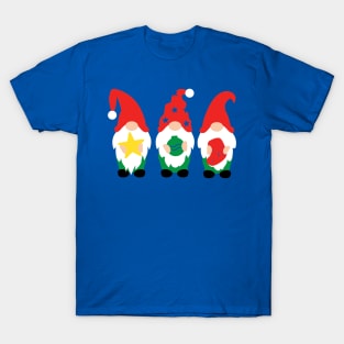 Christmas Gnome Family V T-Shirt